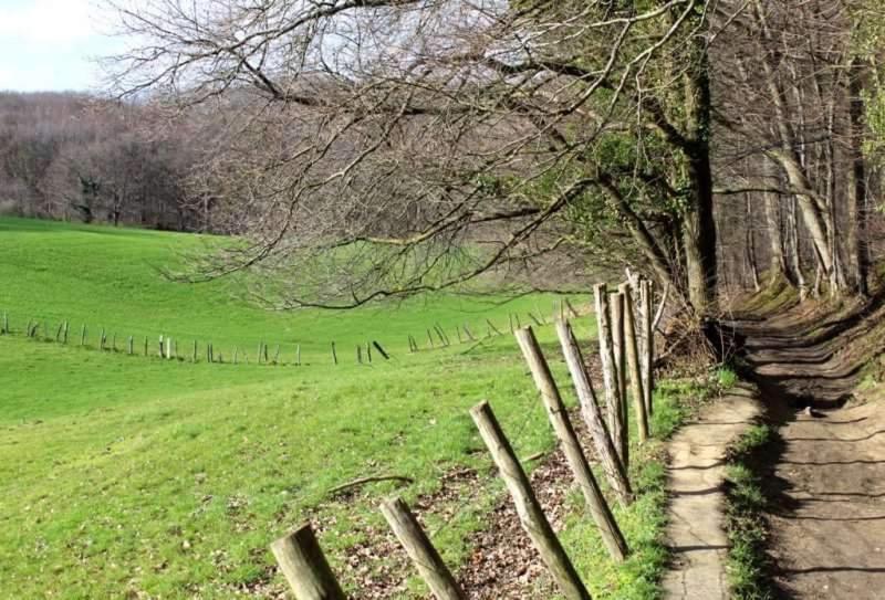 Meerbeek Unwind Kortenberg Exteriör bild