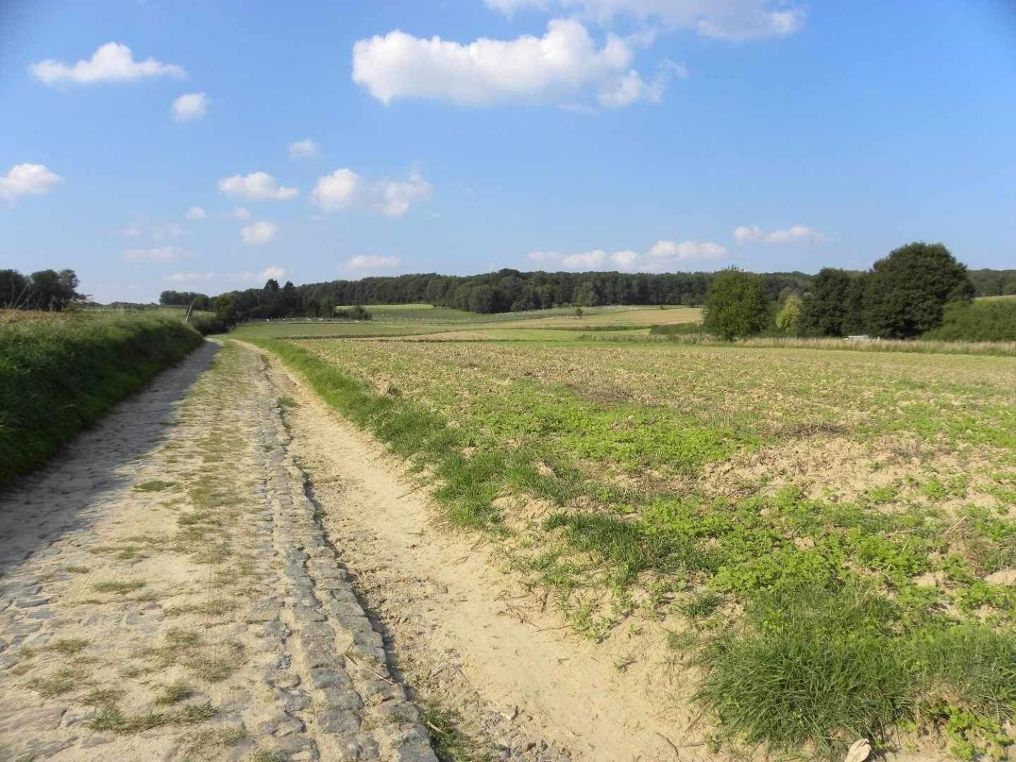 Meerbeek Unwind Kortenberg Exteriör bild