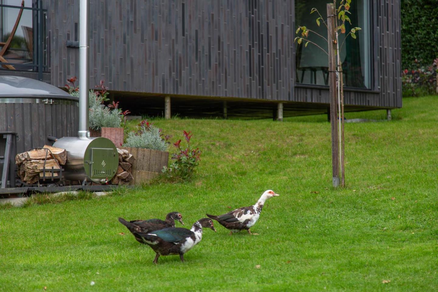 Meerbeek Unwind Kortenberg Exteriör bild